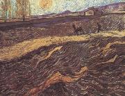 Enclosed Field with Ploughman (nn04), Vincent Van Gogh